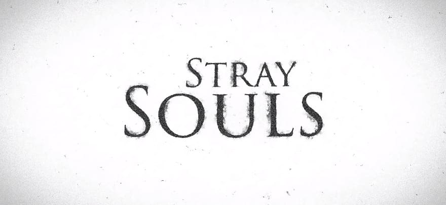stray_souls-1.jpg