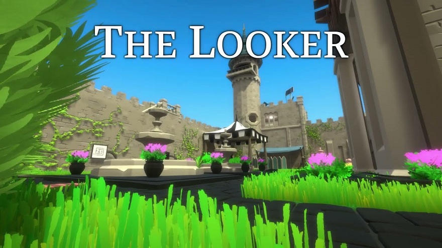 The_Looker-1.jpg