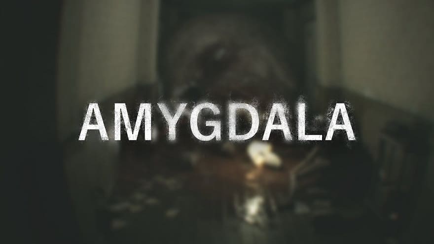 Amygdala-1.jpg