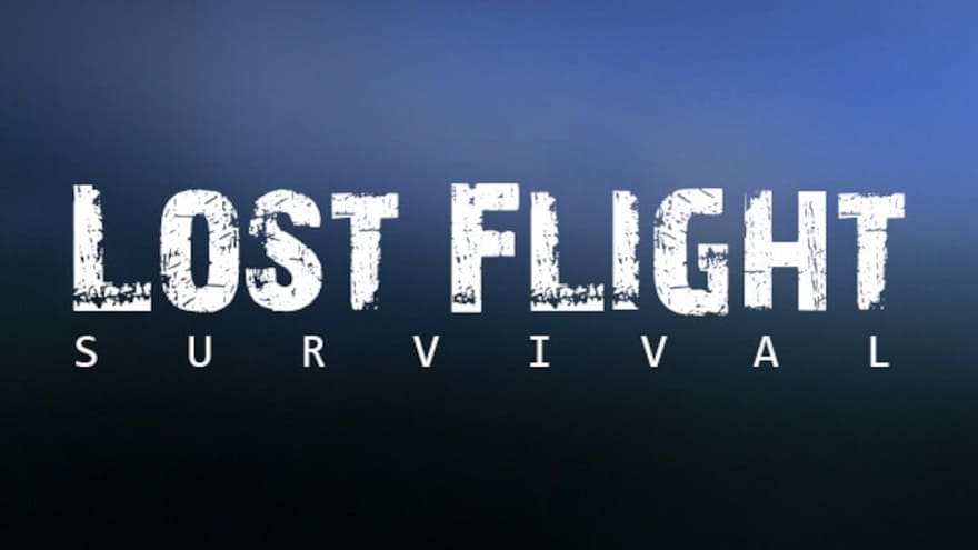 Lost Flight: Survival Постер