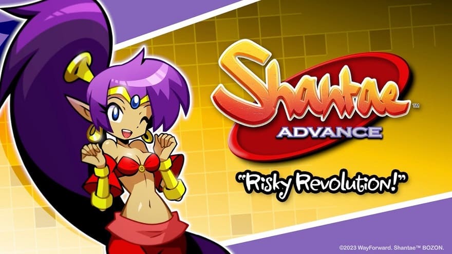 Shantae Advance: Risky Revolution Постер