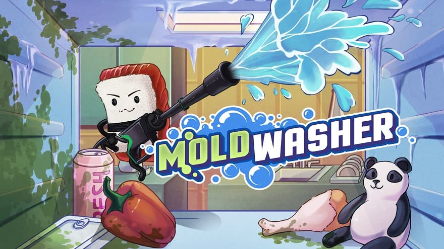 Moldwasher