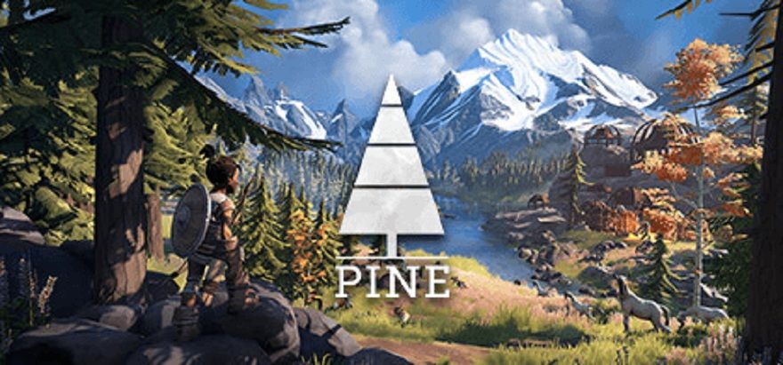 pine-1.jpg