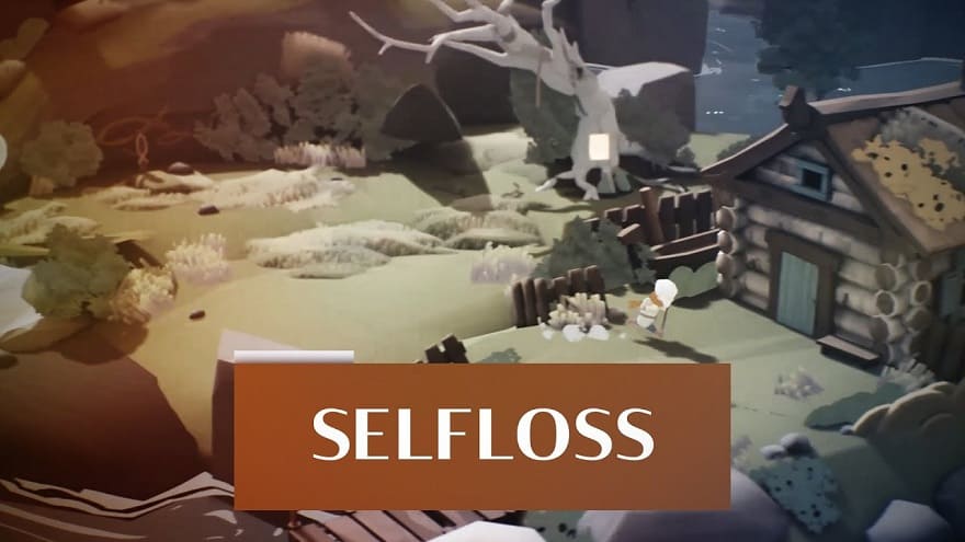 selfloss-1.jpg