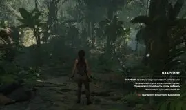 Скриншот 5 игры Rise of the Tomb Raider