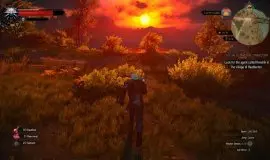 Скриншот 6 игры The Witcher 3: Wild Hunt 