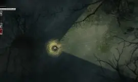 Скриншот 6 игры Darkwood