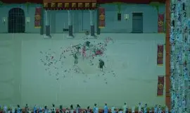 Скриншот 6 игры Domina