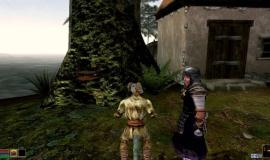 Геймплей The Elder Scrolls III: Morrowind