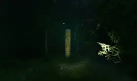 Скриншот 4 игры Taiga