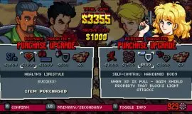 Скриншот 6 игры Double Dragon Gaiden: Rise Of The Dragons