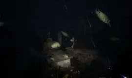 Скриншот 5 игры Shadow of Ether