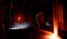 Скриншот 4 игры Chiyo