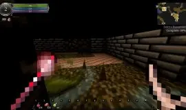 Скриншот 2 игры 9th Dawn Remake