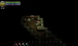 Скриншот 5 игры 9th Dawn Remake