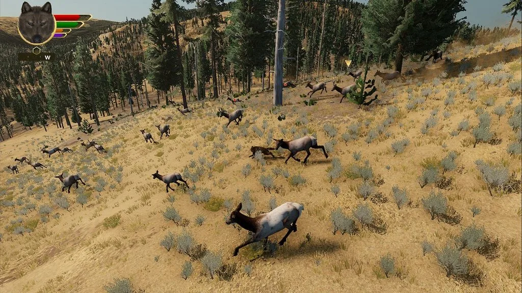 Wolfquest Anniversary Edition - скриншот