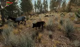 Скриншот 2 игры Wolfquest Anniversary Edition
