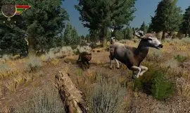 Скриншот 6 игры Wolfquest Anniversary Edition