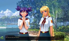 Бесконечное Лето - скриншот геймплея