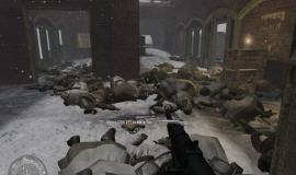 Скриншот Call of Duty 2