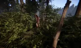 Скриншот 2 игры Sons of the Forest