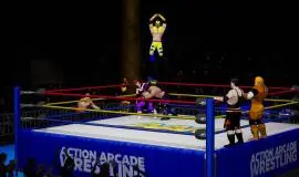 Скриншот 5 игры Action Arcade Wrestling