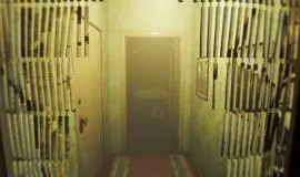 Скриншот 2 игры Can I Come In?