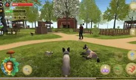 Скриншот 1 игры Cat Simulator: Animals on Farm