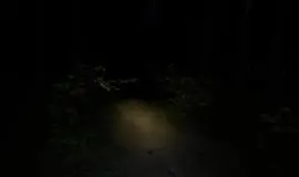 Скриншот 1 игры Creepy Fishing