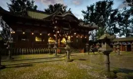 Скриншот 2 игры Dark Honor™