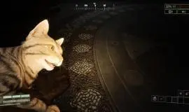 Скриншот 6 игры FEAR OF FAITH по сети