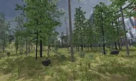 Скриншот 3 игры Forest Construction VR