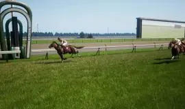 Скриншот 5 игры Full Stride
