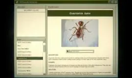 Скриншот 1 игры Home Safety Hotline