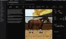 Скриншот 1 игры Horse Racing Manager