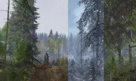Скриншот 3 игры Life is Feudal: Your Own