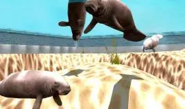 Скриншот 1 игры Marine Park Empire