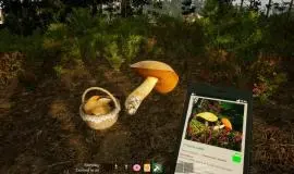 Скриншот 1 игры Mushroom Season