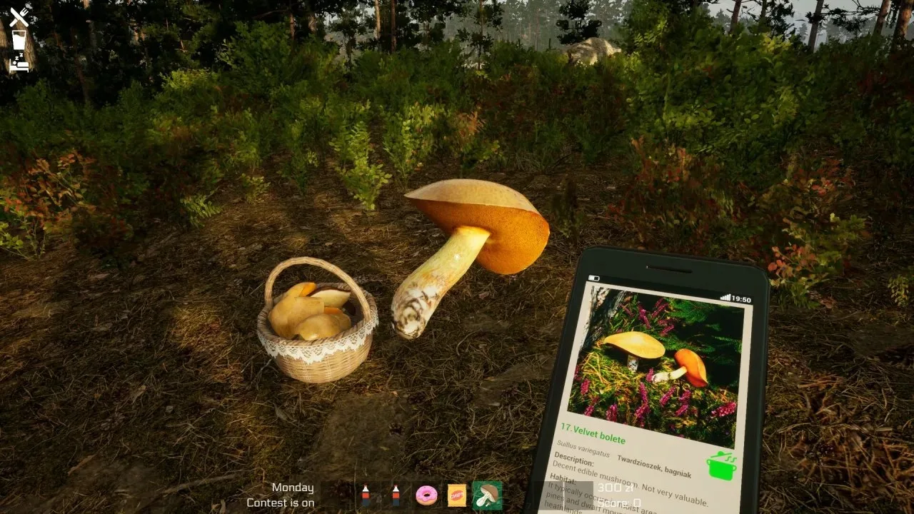 Mushroom Season - скриншот