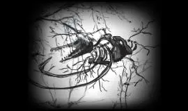 Скриншот 5 игры Nihilumbra