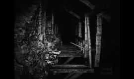 Скриншот 2 игры [REC] Desolation