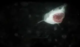 Скриншот 4 игры Scary Cave Diving