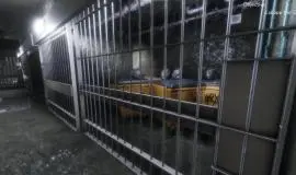 Скриншот 5 игры Synthetic Captive