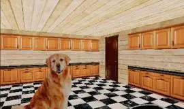 Скриншот 4 игры TAKE CARE OF THE DOG