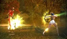 Скриншот 5 игры Vindictus