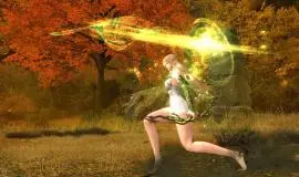 Скриншот 4 игры Vindictus