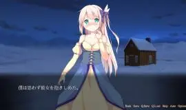 Скриншот 6 игры Vision of Aurora Borealis