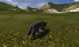 Скриншот 2 игры WolfQuest: Classic