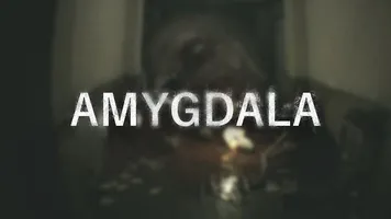 Amygdala