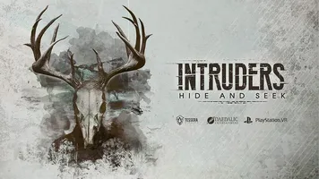Intruders: Hide and Seek